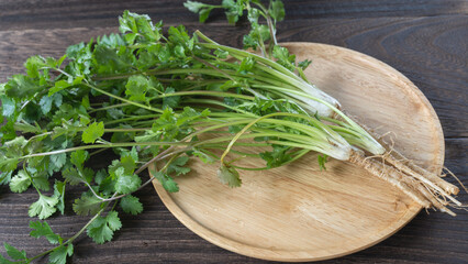 パクチー(コリアンダー)