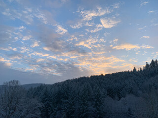 a wonderful photo showing a beautiful forest and a beautiful sky