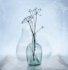 Glass bottles with thin twig dry plant on the table on a light transparent background. Still life in the winter