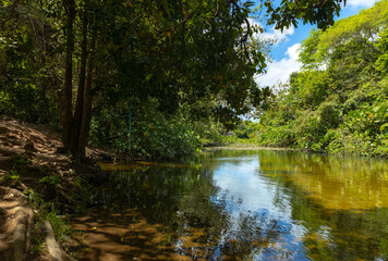 Fototapeta na wymiar Calm landscape of a tropical river during a sunny day.