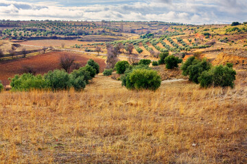 Naklejka premium Campos de Valdelaguna.
