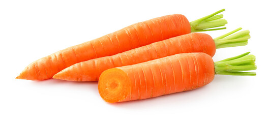 Fresh carrot isolated. Two whole carrots and half of carrot on white background.