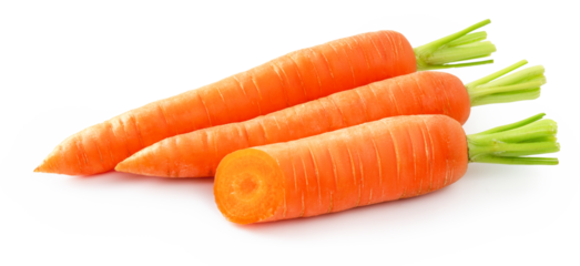 Fresh carrot isolated. Two whole carrots and half of carrot on white background.