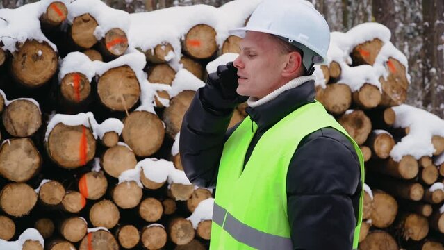 Forest worker in safety helmet and protective vest talking by mobile phone on front of stacked logs covered with snow in winter. Working in logging. Deforestation and heavy industry on global