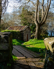 Cabaña antigua en medio del bosque 