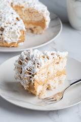 A piece of delicious vanilla cake and cake on a light table