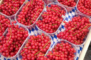 Munich, Germany, Europe. Farmers market.Ligonberries