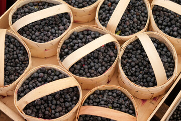Munich, Germany, Europe. Farmers market. Wild bluberries
