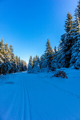 Schöne Winterlandschaft auf den Höhen des Thüringer Waldes bei Oberhof - Thüringen
