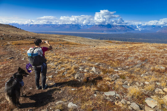 Woman backpacker and her dog pause to take a picture of the Alaska Range while hiking on the Kesugi Ridge Trail in Denali State Park, Alaska in the autumn; Alaska, United States of America