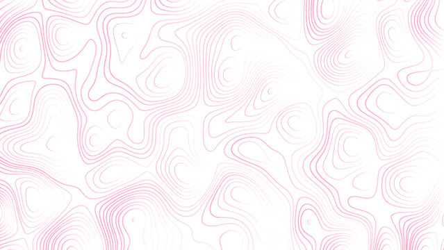 Abstract white and pink topography vector background. Line topography white and pink map design. The concept of conditional geographical pattern and topography.	