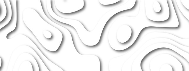 Vector abstract white paper cut banner. White waves decorative papercut design. Modern abstract wavy line 3d paper cut white background. White paper cut white background.