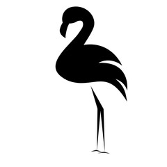 flamingo silhouette isolated on white