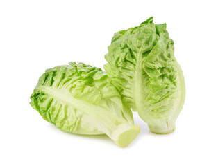 Fresh green cos lettuce isolated on white background.