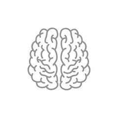human brain illustration