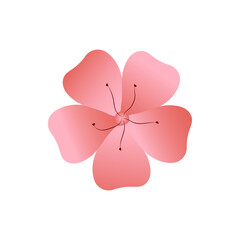 Flower, sakura pink. Doodle, lineart element. Vector Illustration.