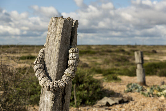 Weathered buoy hangs from a worn wooden post