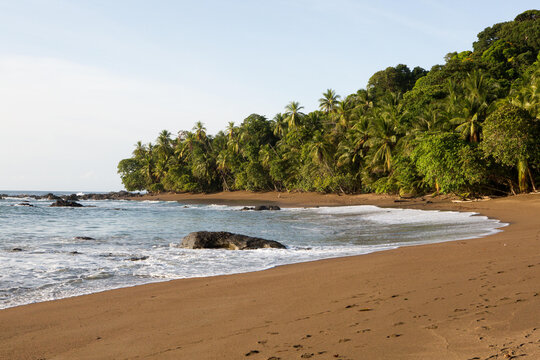 Water rushes onto a sandy beach at Corvovado National Park, Osa Peninsula.; Corcovado National Park, Costa Rica
