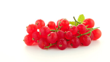 Red Currants