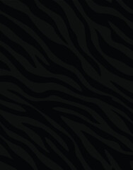 Fototapeta na wymiar Zebra pattern seamless animal print, vector texture, trendy design.
