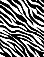Animal pattern zebra black and white stripes, vector seamless animal background