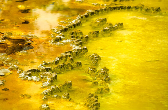 Abstract view of a thermal pool near Doublet Pool in the Upper Geyser Basin.