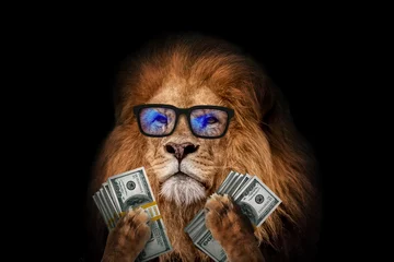 Foto op Aluminium Cool successful leader lion boss with trendy eyes holds money dollars in his paws on a black background. Finance and management, creative idea. King of business and Investments, concept. © alones