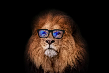 Business handsome lion hipster with new trendy glasses with blue lenses on a black background....