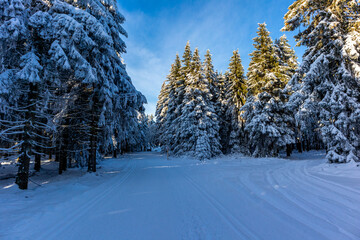 Schöne Winterlandschaft auf den Höhen des Thüringer Waldes bei Oberhof - Thüringen