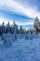 Sch&ouml;ne Winterlandschaft auf den H&ouml;hen des Th&uuml;ringer Waldes bei Oberhof - Th&uuml;ringen