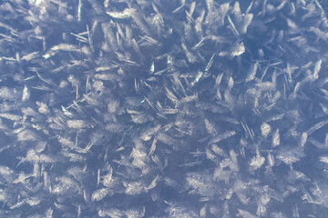 Schöne Winterlandschaft auf den Höhen des Thüringer Waldes bei Oberhof - Thüringen