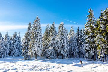 Schöne Winterlandschaft auf den Höhen des Thüringer Waldes bei Oberhof - Thüringen