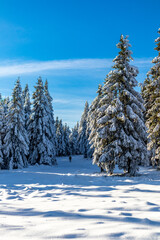 Schöne Winterlandschaft auf den Höhen des Thüringer Waldes bei Oberhof - Thüringen