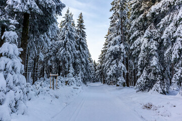 Schöne Winterlandschaft auf den Höhen des Thüringer Waldes bei Oberhof - Thüringen