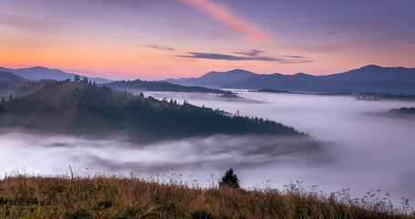 Fototapeta premium Incredible nature scenery im mountain. Beautiful natural landscape in the summer sunrise. Mountain valley with morning fog, colorful sky and visible silhouettes of Mountain ranges. Carpathian. Ukraine