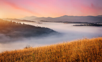 Fototapeta na wymiar Incredible nature scenery im mountain. Beautiful natural landscape in the summer sunrise. Mountain valley with morning fog, colorful sky and visible silhouettes of Mountain ranges. Carpathian. Ukraine