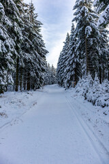 Schöne Winterlandschaft auf den Höhen des Thüringer Waldes bei Oberhof - Thüringen