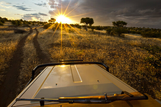 Fototapeta A rifle on top of a safari vehicle heading into the bright sun.