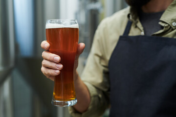 Worker holding big glass of beer produced in microbrewery
