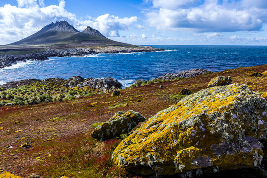 A rocky shoreline on Steeple Jason Island in the Falkland Islands.