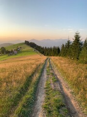 Fototapeta na wymiar Field road on the mountain near the forest. Carpathian mountains in a summer evening, view into the distance. Mountain range at sunset.
