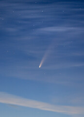 Comet Neowise