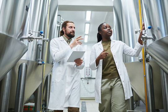 Brewery workers checking new equipment, still tanks for beer fermentation