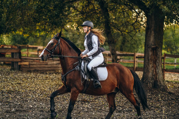 A young beautiful woman jockey is preparing for a show jumping competition. A woman rider rides a...