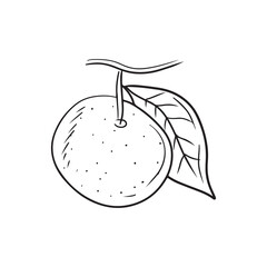 Tangerine fruit on branch with leaf in black isolated on white background. Hand drawn vector sketch illustration in doodle simple outline style. Fresh citrus fruit, vitamin C juice, healthy lifestyle.