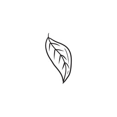 Tangerine leaf in black isolated on white background. Hand drawn vector sketch illustration in doodle vintage engraved style. Citrus tree leaf, autumn season, falling, plum, orange, lemon.