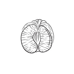 Half of peeled tangerine fruin in black isolated on white background. Hand drawn vectorsketch illustration in doodle simple vintage engraved outline style. Juicy, sour fruit with vitamins.