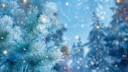 Closeup of Christmas tree background. Pine branches and Christmas lights