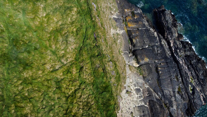 Dense thickets of grass on the shore. Grass-covered rocks on the Atlantic Ocean coast. Nature of Ireland, top view. Aerial photo. Drone point of view.