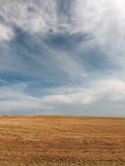 Beautiful sky with cirrus clouds over farmlands. Agricultural field with stubble. Landscape.